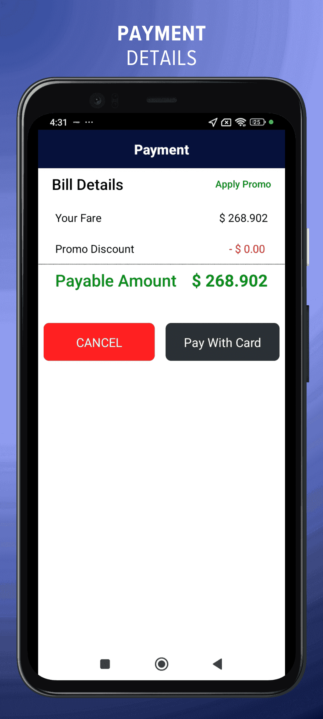 payment details